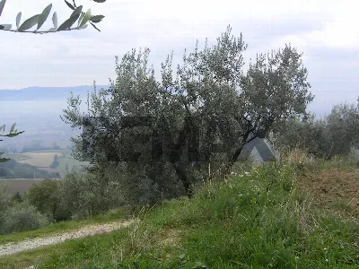 Rustico/Casale in vendita a Assisi - foto 5