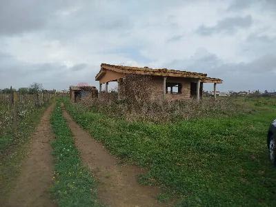 Villa in vendita a Nettuno - foto 9