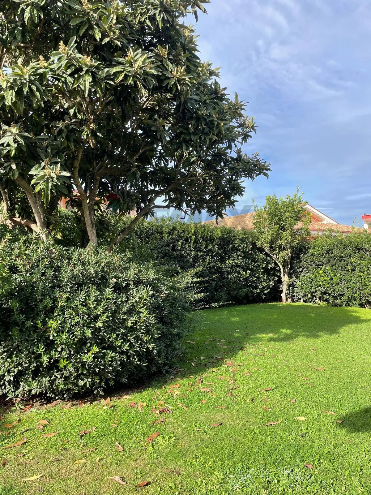 Villa in vendita a Ardea - foto 5