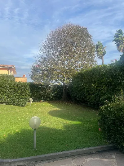 Villa in vendita a Ardea - foto 6
