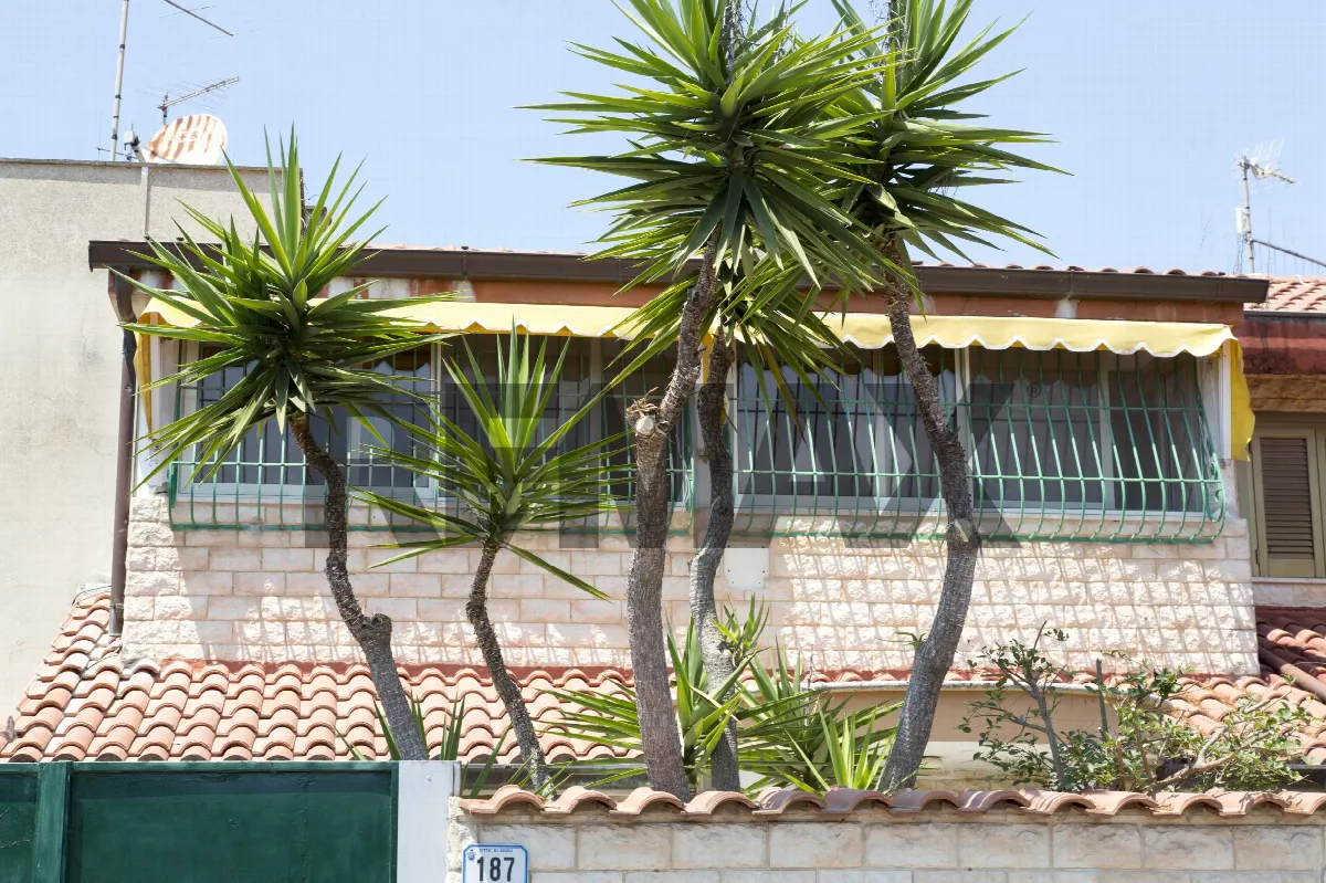 Villa in vendita a Anzio - foto 2