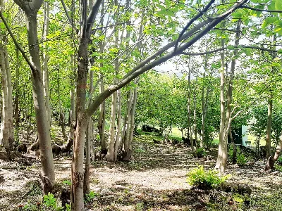 Villa in vendita a Reano - foto 8