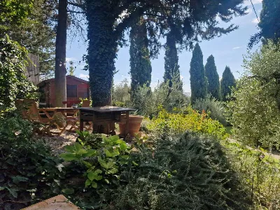 Rustico/Casale in vendita a Montespertoli - foto 4