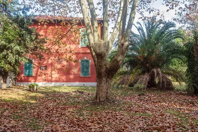 Rustico/Casale in vendita a Cascina - foto 4