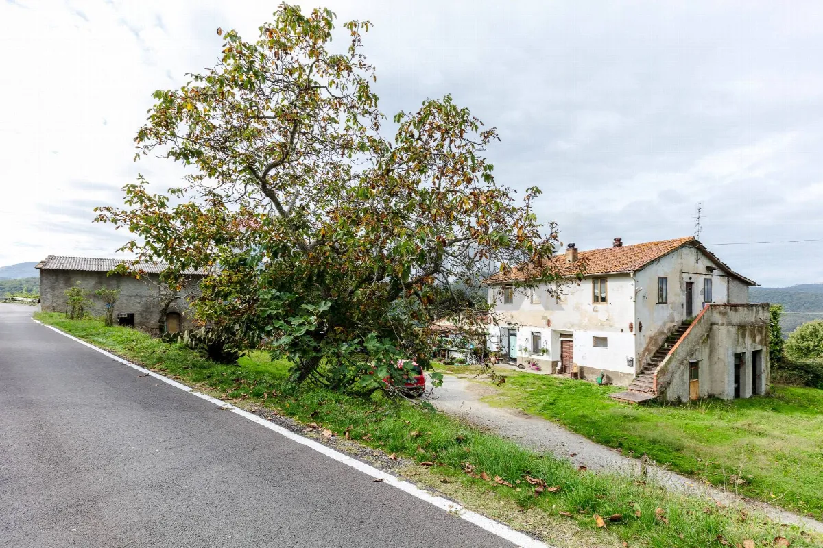 Rustico/Casale in vendita a Borgo San Lorenzo - foto 3