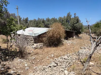 Rustico/Casale in vendita a Noto - foto 2
