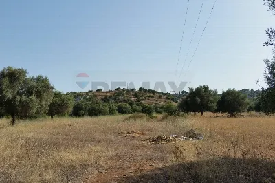 Rustico/Casale in vendita a Noto - foto 5