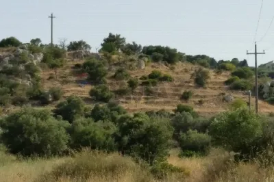Rustico/Casale in vendita a Noto - foto 6