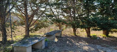 Villa in vendita a Caltagirone - foto 10