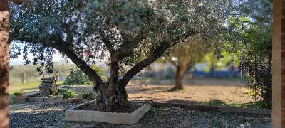 Villa in vendita a Caltagirone - foto 8