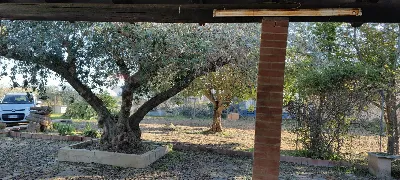 Villa in vendita a Caltagirone - foto 9