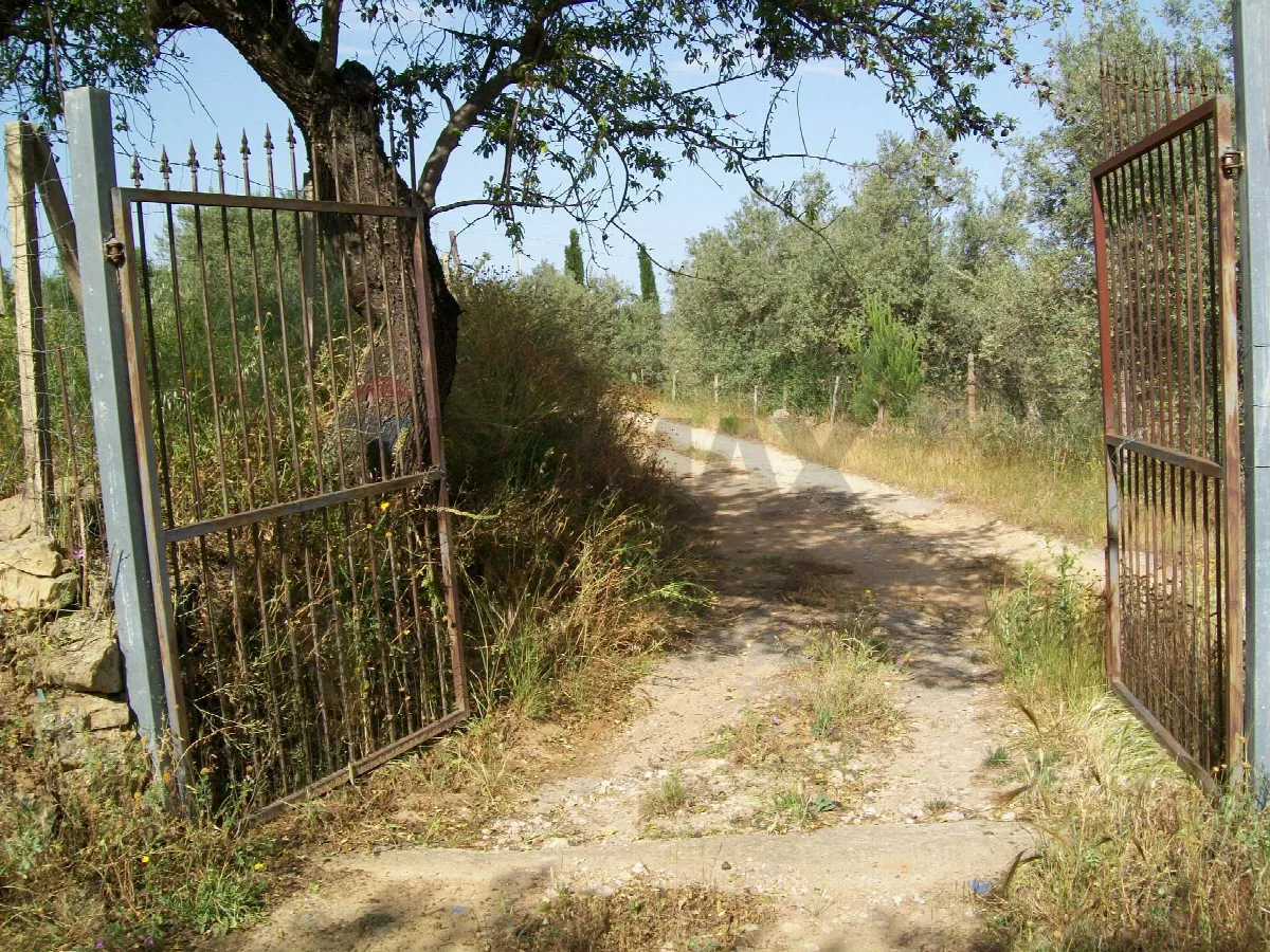 Rustico/Casale in vendita a Piazza Armerina - foto 3