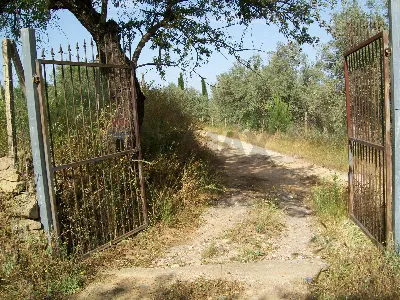 Rustico/Casale in vendita a Piazza Armerin... - foto 3