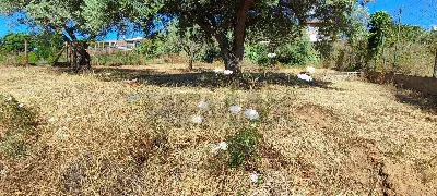 Villa in vendita a Caltagirone - foto 9