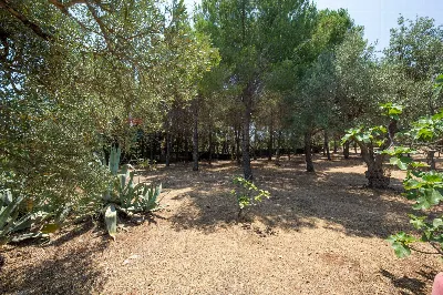 Villa in vendita a Noto - foto 7