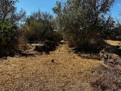 Rustico/Casale in vendita a Misterbianco - foto 10