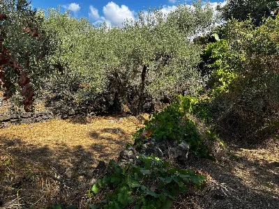 Rustico/Casale in vendita a Misterbianco - foto 2
