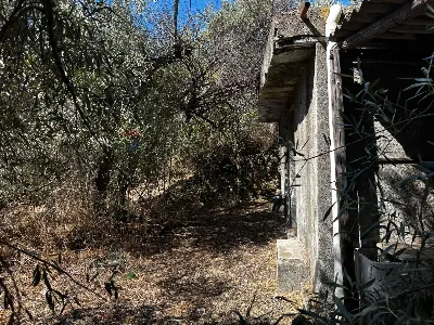 Rustico/Casale in vendita a Misterbianco - foto 6
