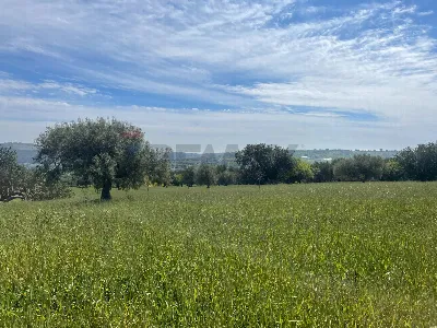 Rustico/Casale in vendita a Scicli - foto 10
