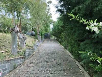 Villa in vendita a Troina - foto 8