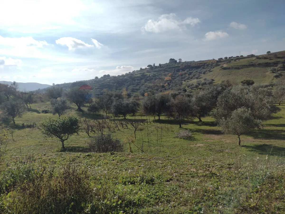 Rustico/Casale in vendita a Piazza Armerina - foto 2