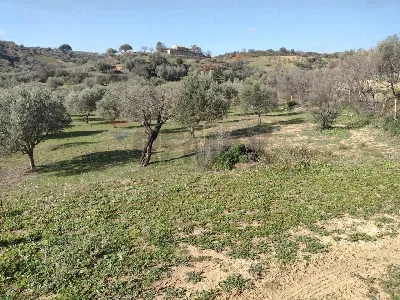 Rustico/Casale in vendita a Piazza Armerin... - foto 3