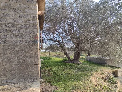 Rustico/Casale in vendita a Piazza Armerin... - foto 9