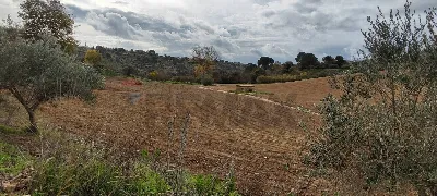 Rustico/Casale in vendita a Caltagirone - foto 10