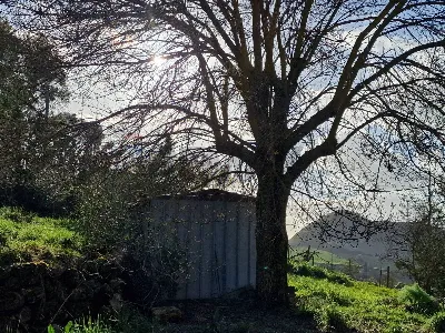 Villa in vendita a Enna - foto 9