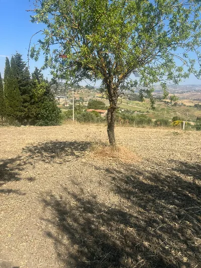 Rustico/Casale in vendita a Caltanissetta - foto 4