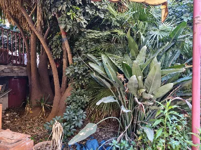 Villa in vendita a Catania, Province, Pica... - foto 5