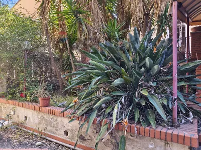 Villa in vendita a Catania, Province, Pica... - foto 6