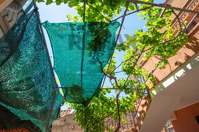 Villa in vendita a Savoca - foto 10