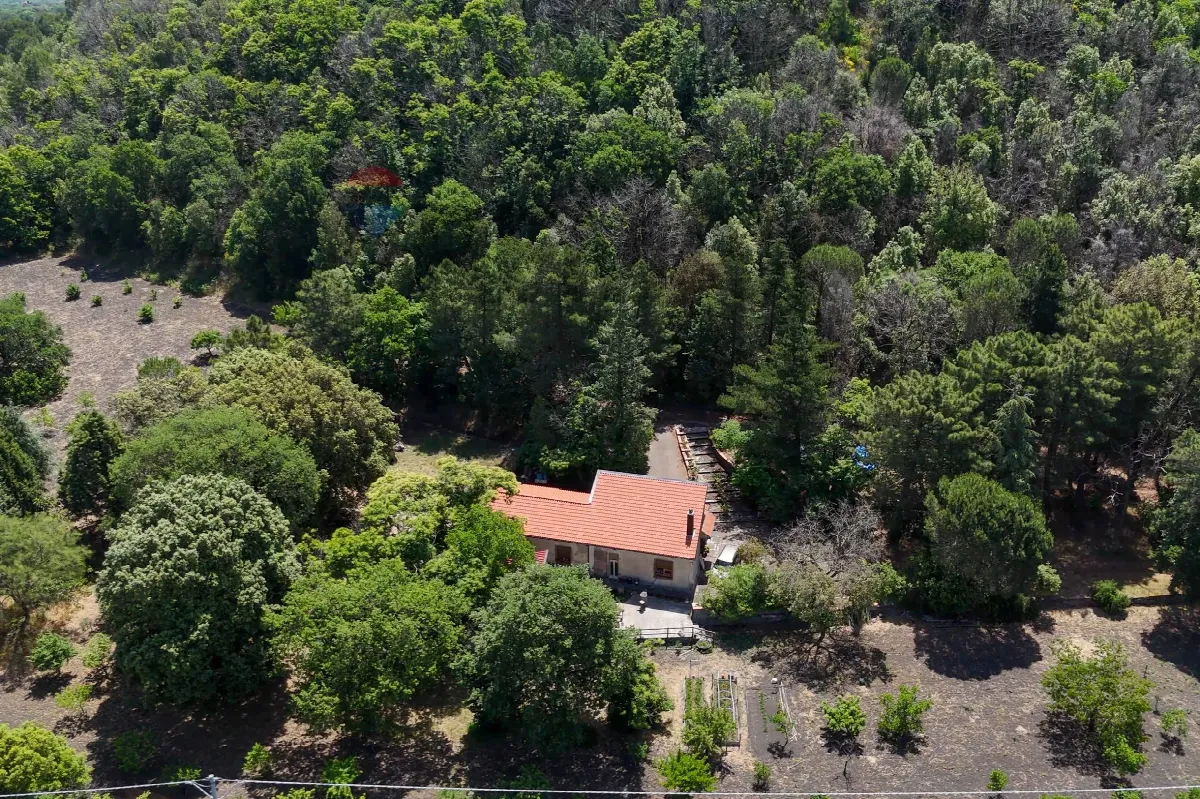Villa in vendita a Nicolosi - foto 4
