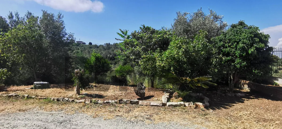 Casa Indipendente in vendita a Palmi - foto 5