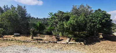 Casa Indipendente in vendita a Palmi - foto 5