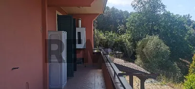 Casa Indipendente in vendita a Palmi - foto 8