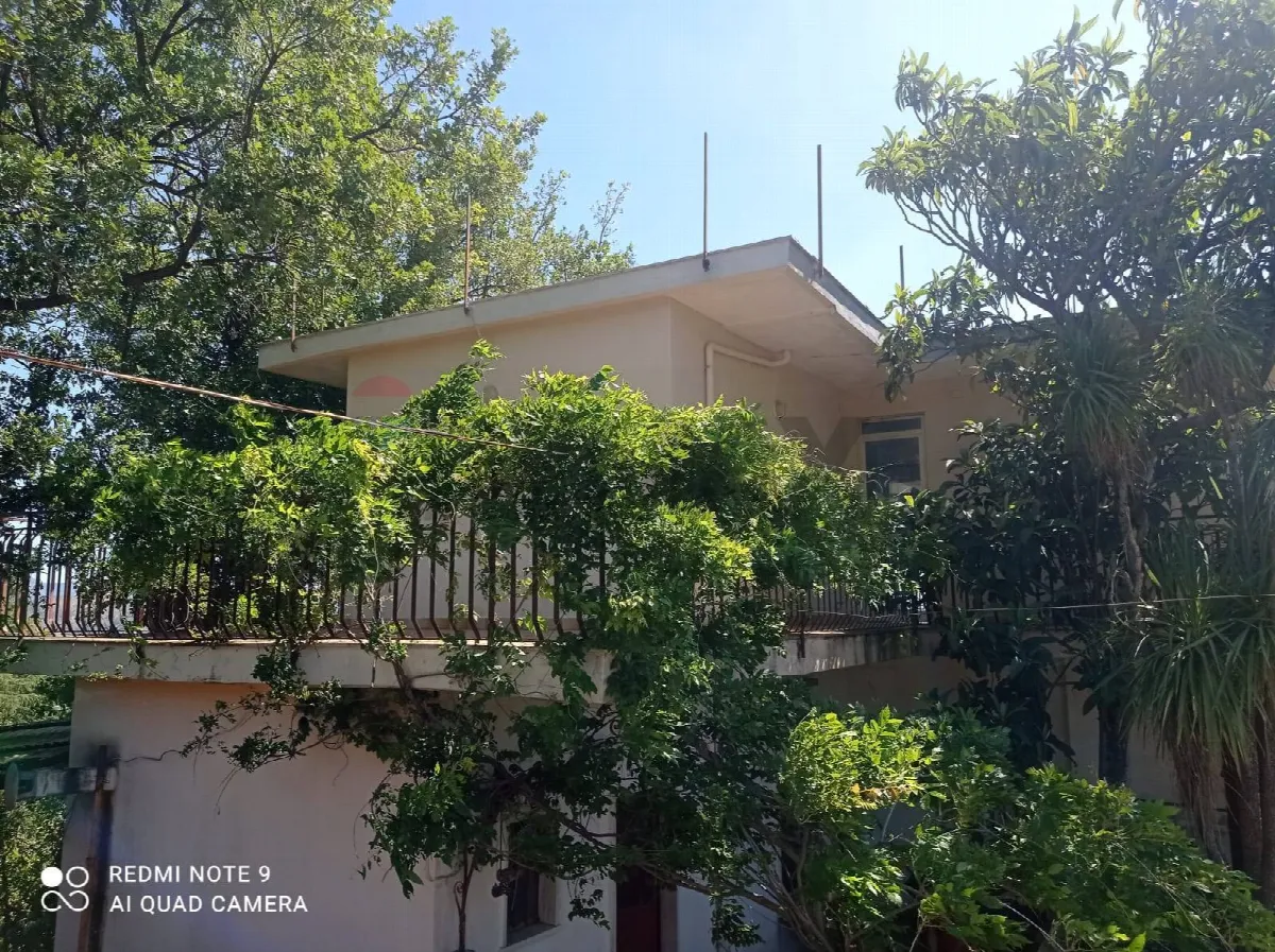 Rustico/Casale in vendita a Piedimonte Etneo - foto 3