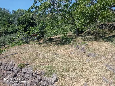 Rustico/Casale in vendita a Piedimonte Etn... - foto 7