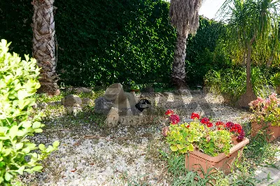 Casa Indipendente in vendita a Catenanuova - foto 3