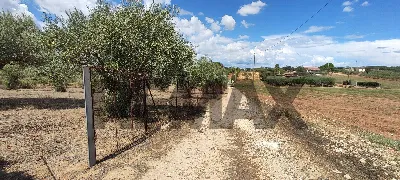 Villa in vendita a Caltagirone - foto 5