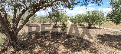 Villa in vendita a Caltagirone - foto 6