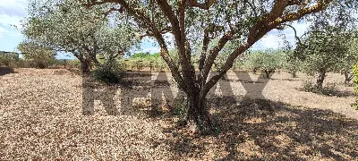 Villa in vendita a Caltagirone - foto 7
