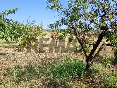 Villa in vendita a Piazza Armerina - foto 3