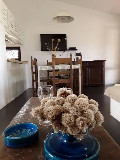 Casa Indipendente in vendita a Trinità d'A... - foto 6