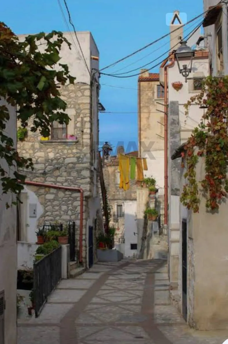 Rustico/Casale in vendita a Vico del Gargano - foto 2