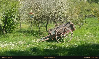 Rustico/Casale in vendita a Monte Sant'Ang... - foto 9