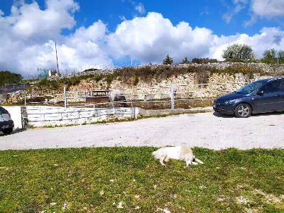 Rustico/Casale in vendita a Manfredonia - foto 3