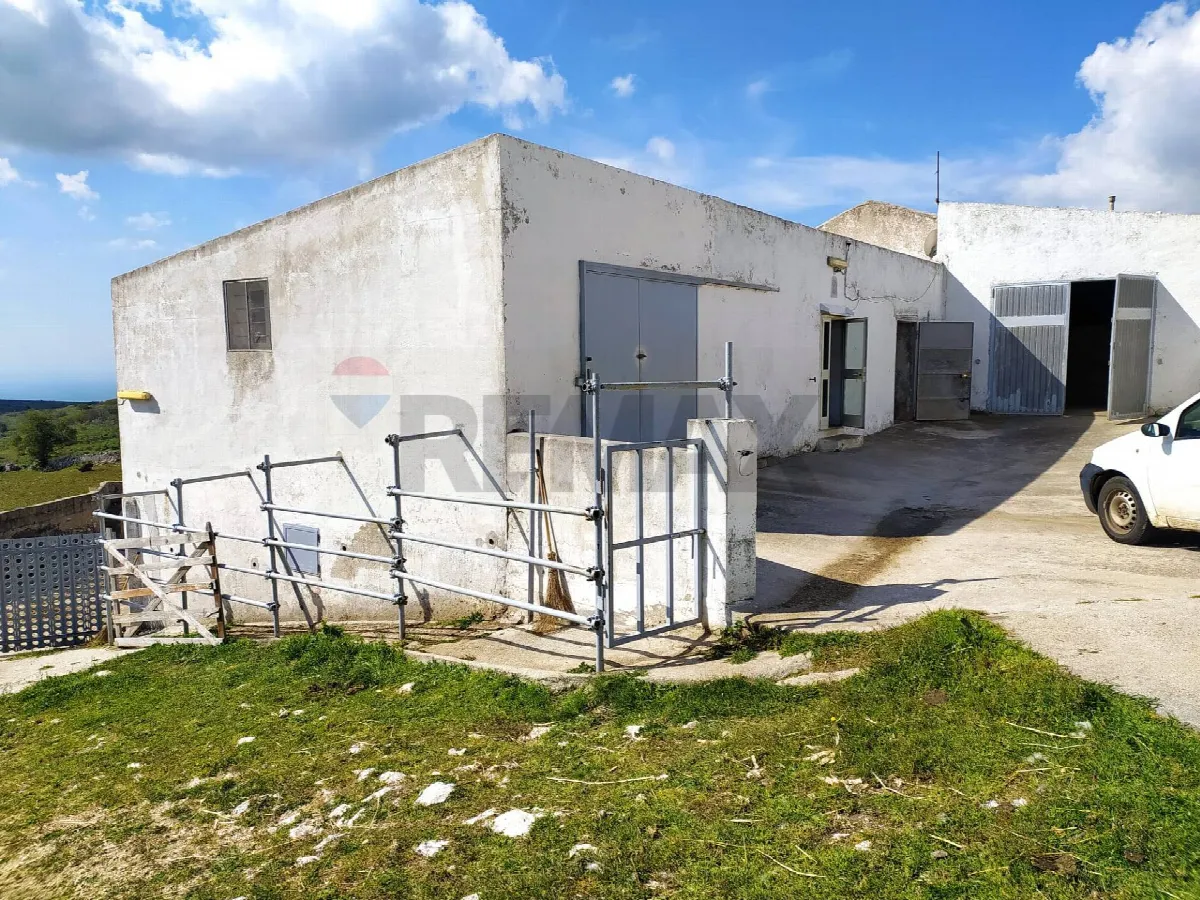 Rustico/Casale in vendita a Manfredonia - foto 4