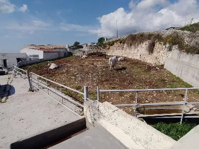 Rustico/Casale in vendita a Manfredonia - foto 7